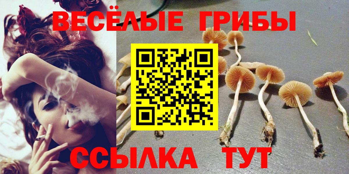 Псилоцибиновые грибы Cubensis Павловский Посад