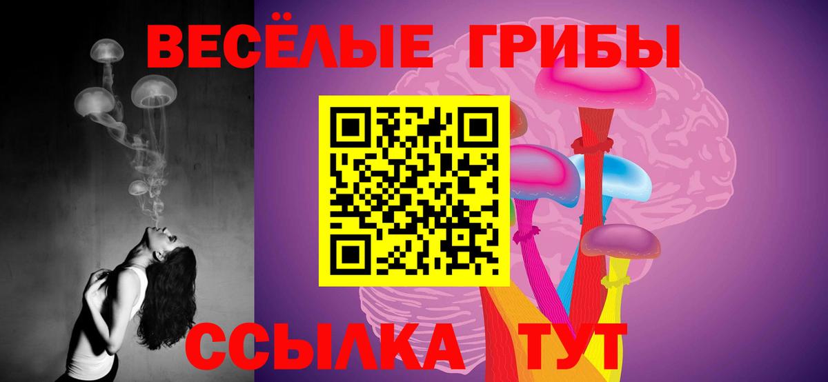 КОКАИН Павловский Посад